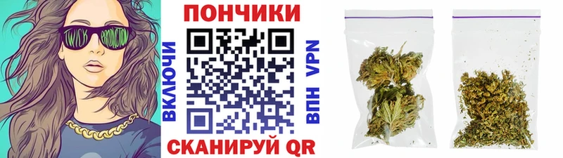 Купить закладку Заполярный Канабис  Кокаин  Псилоцибиновые грибы  mega вход  Амфетамин  Мефедрон 