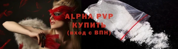 крисы Алексин