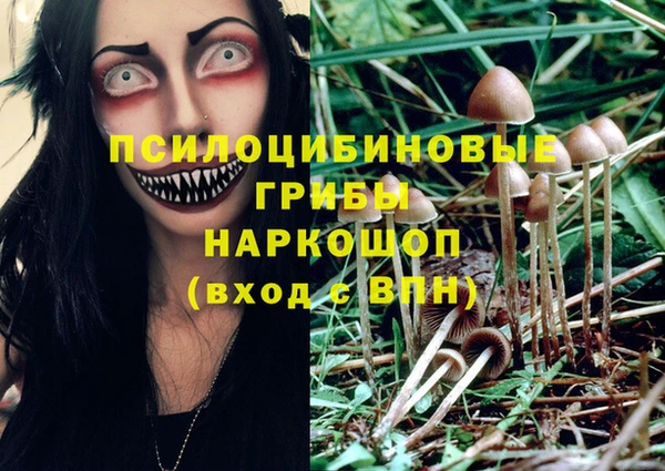 марки lsd Алзамай