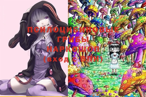 крисы Алексин