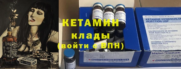 крисы Алексин