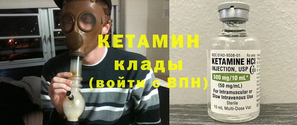 крисы Алексин