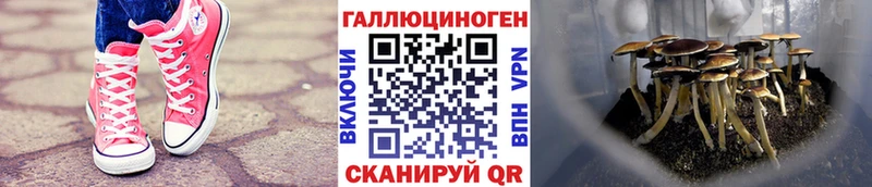 Галлюциногенные грибы Magic Shrooms  даркнет сайт  blacksprut маркетплейс  Заполярный 